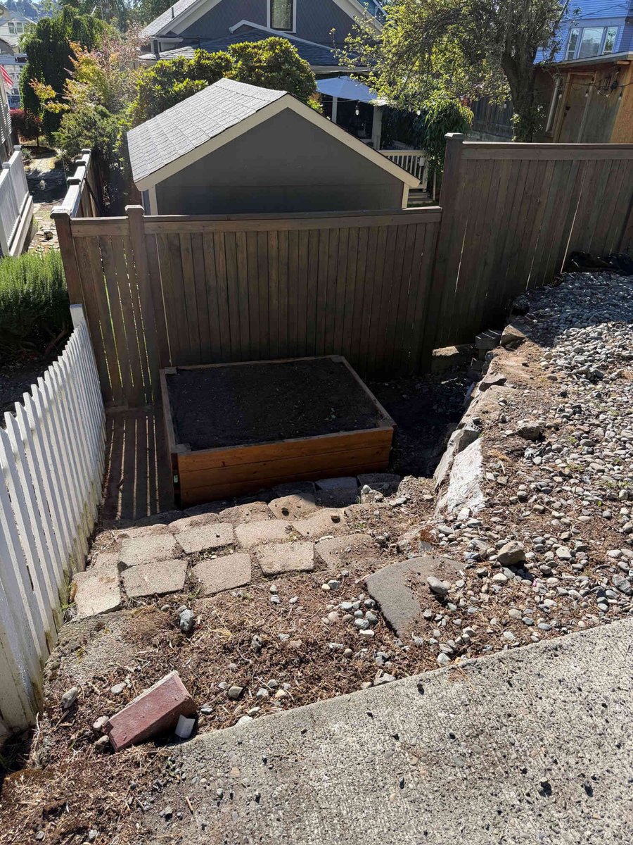 After — Planter & pathway cleanup