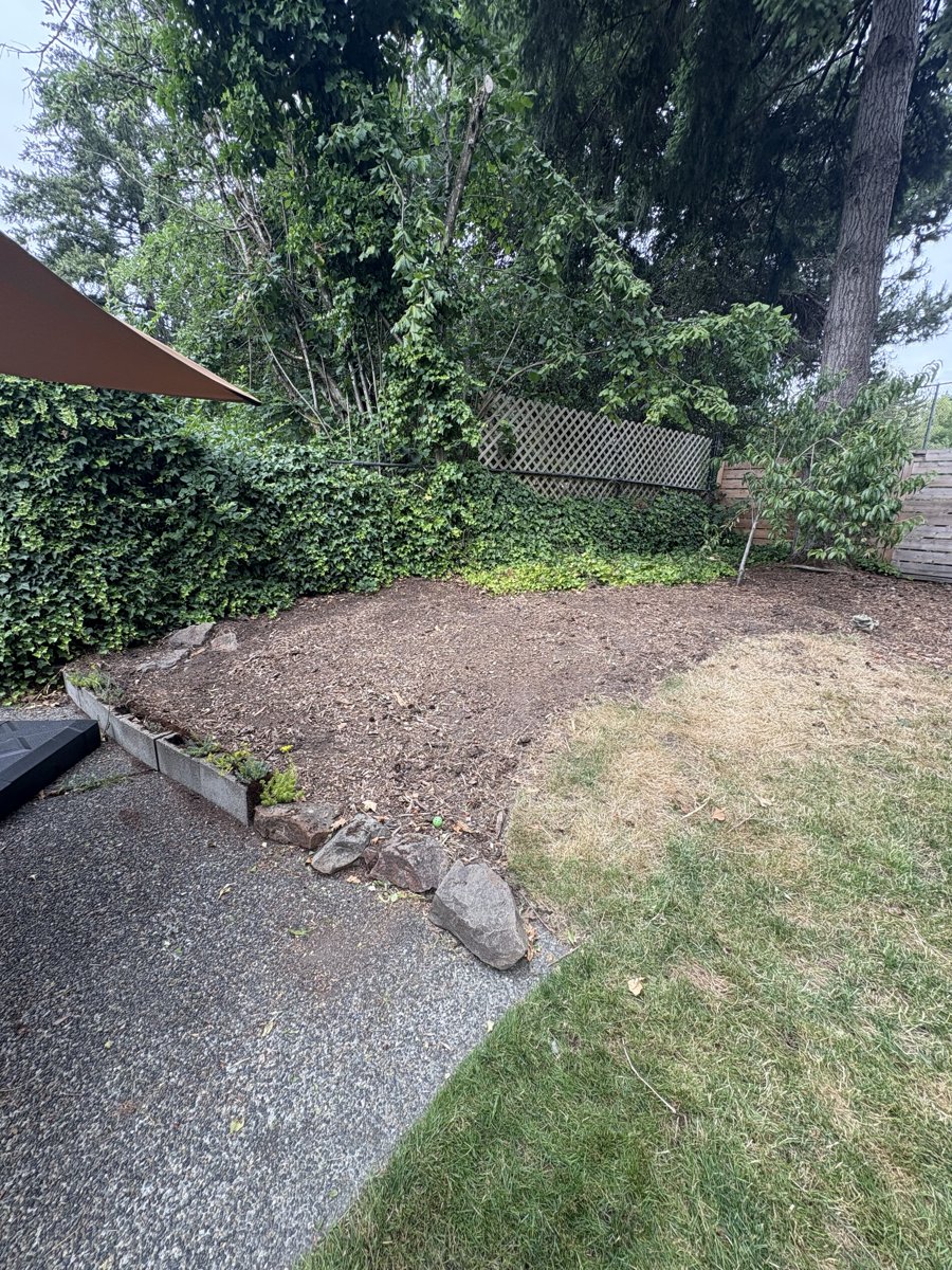 After — Yard transformation